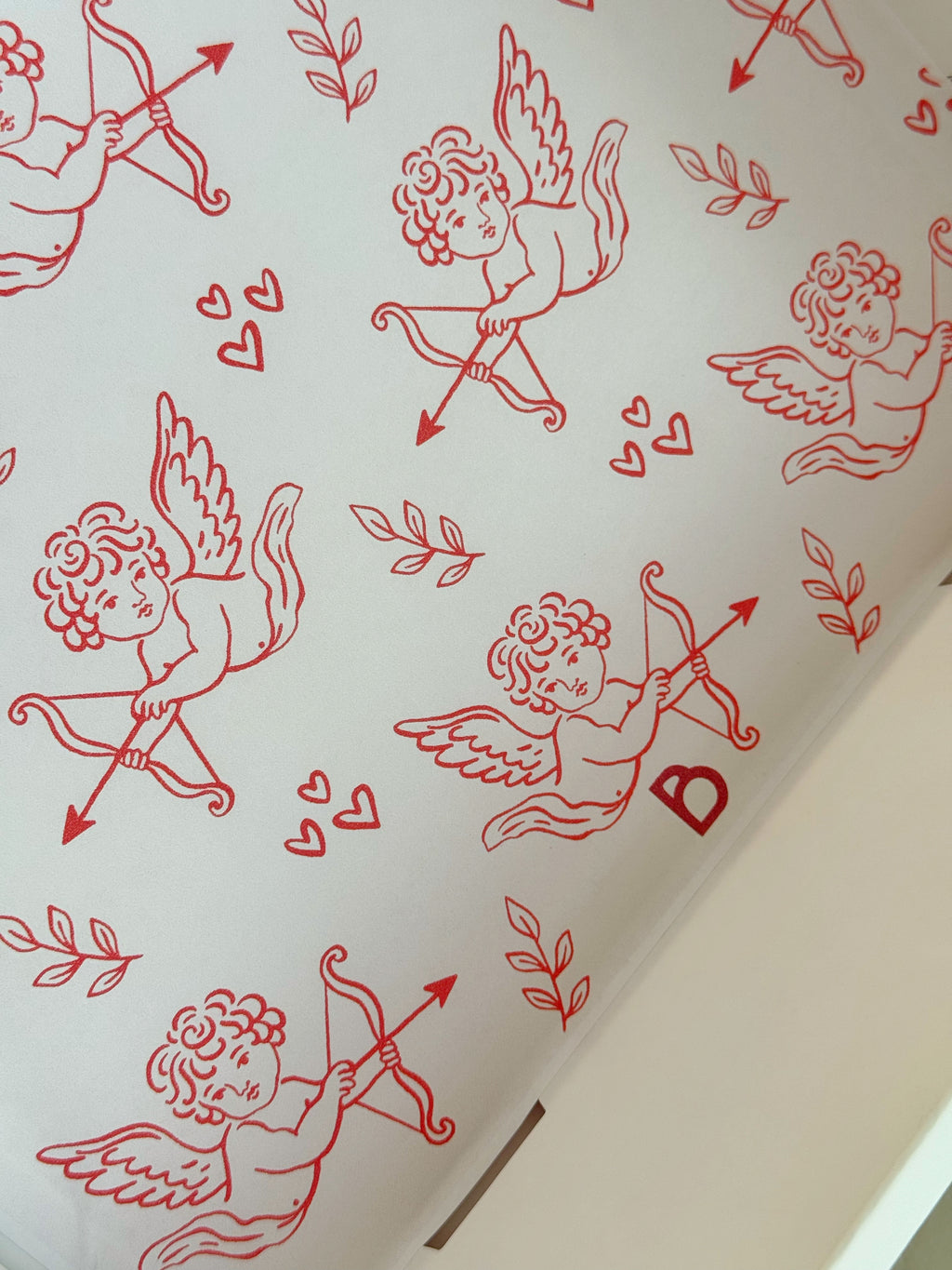 Biory Valentine’s Box (Edición Especial) GRATIS